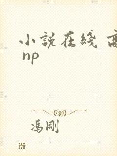 小说在线 高h np封面