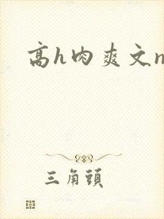 高h肉爽文np