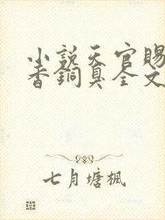 小说天官赐福墨香铜臭全文封面