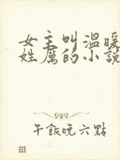 女主叫温暖男主姓厉的小说