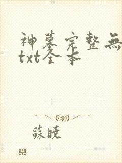 神墓完整无删减txt全本