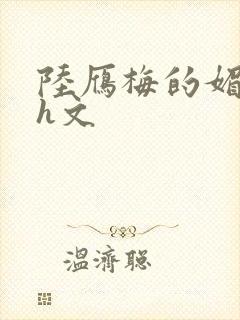 陆雁梅的媚肉高h文