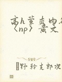 高h荤爽肉欲文〈np〉黄文