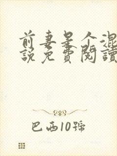 前妻是个混混小说免费阅读