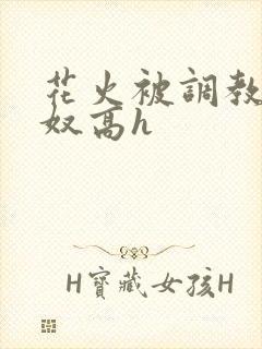花火被调教成肉奴高h