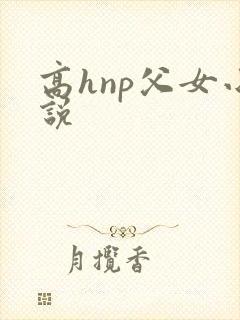 高hnp父女小说