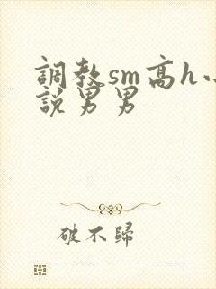 调教sm高h小说男男