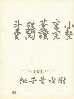 斗破苍穹小说免费阅读完整版在线封面