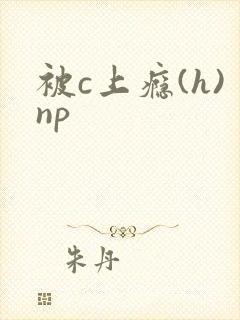 被c上瘾(h)np