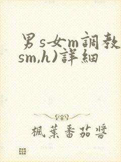男s女m调教(sm,h)详细