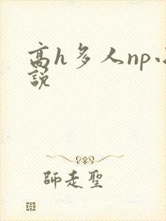 高h多人np小说封面