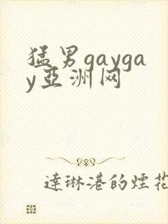 猛男gaygay亚洲网