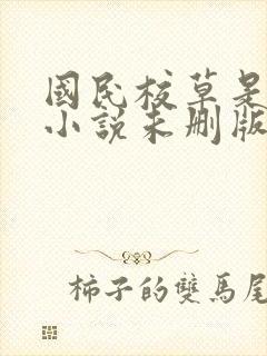 国民校草是女生小说未删版