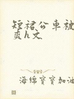 短裙公车被强好爽h文