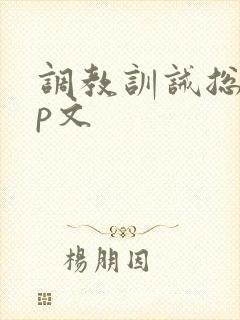 调教训诫总裁sp文