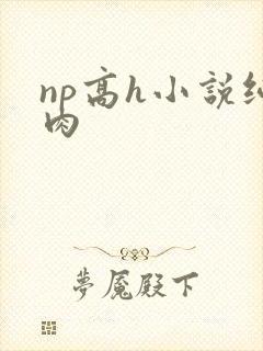 np高h小说纯肉
