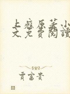 上瘾原著小说全文免费阅读封面