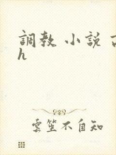 调教 小说 高h封面