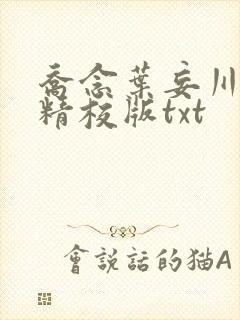 乔念叶妄川完整精校版txt