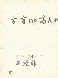 古言np高h肉