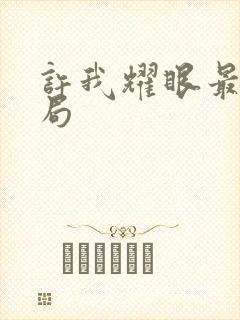 许我耀眼最后结局