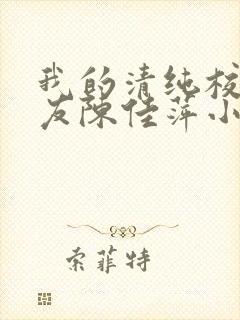 我的清纯校花女友陈佳萍小说在线阅封面