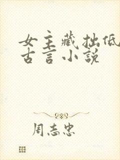 女主藏拙低调的古言小说封面