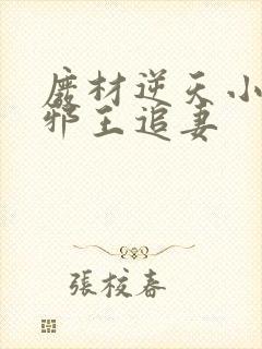 废材逆天小姐之邪王追妻