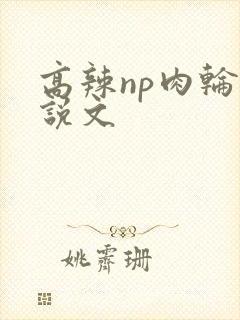 高辣np肉轮小说文