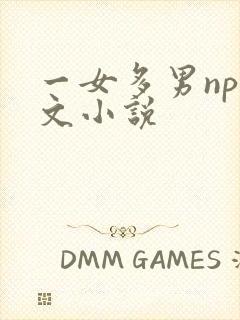 一女多男np爽文小说