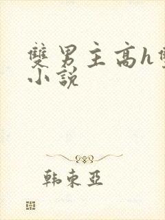 双男主高h双性小说