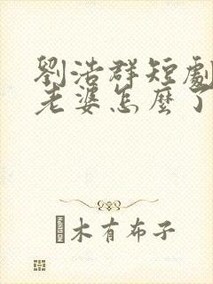 刘浩群短剧我怕老婆怎么了在线观看