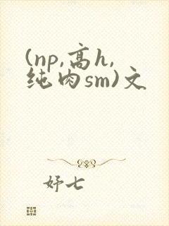 (np,高h,纯肉sm)文