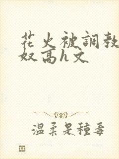 花火被调教成肉奴高h文