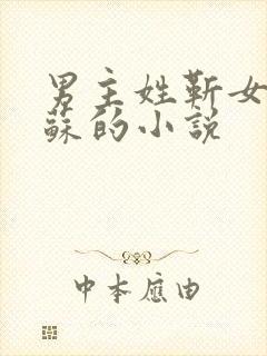 男主姓靳女主姓苏的小说