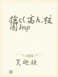 挨c(高h,校园)np