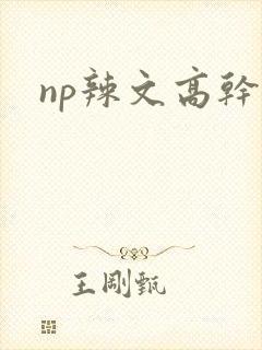 np辣文高干
