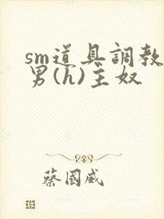 sm道具调教男男(h)主奴