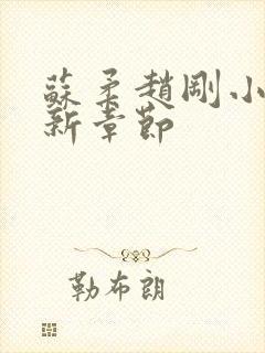 苏柔赵刚小说最新章节