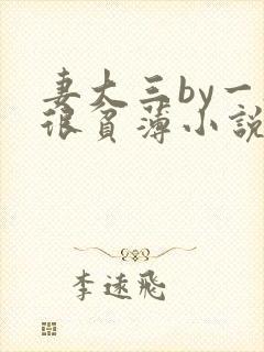 妻大三by一夜很贫薄小说免费阅读