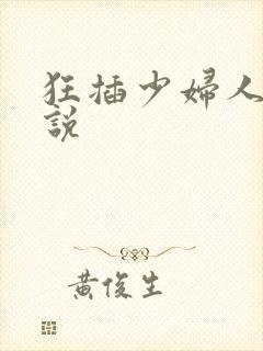 狂插少妇人妻小说封面