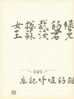 女总裁的绿帽兵王苏浅君免费阅读