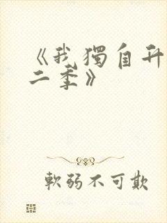 《我独自升级第二季》