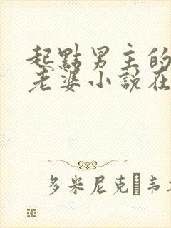 起点男主的笨蛋老婆小说在线阅读