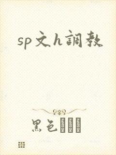 sp文h调教