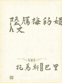 陆雁梅的媚肉高h文