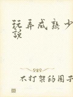 玩弄成熟少妇小说