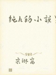 纯h的小说男女封面