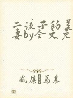 二流子的美貌娇妻by全文免费阅读小说