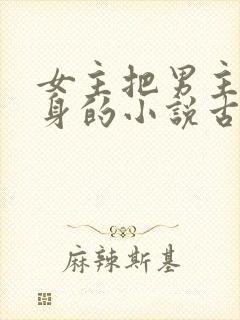 女主把男主当替身的小说古言